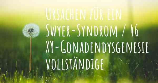 Ursachen für ein Swyer-Syndrom / 46 XY-Gonadendysgenesie vollständige