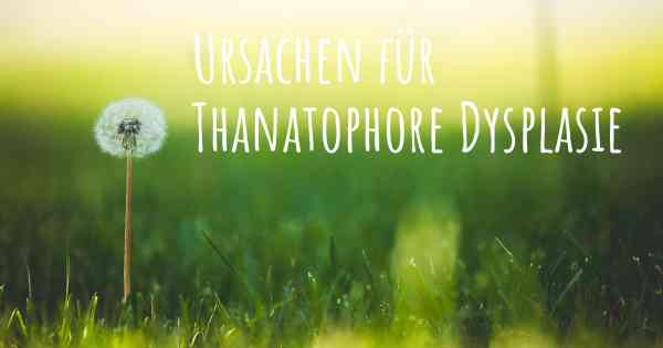 Ursachen für Thanatophore Dysplasie