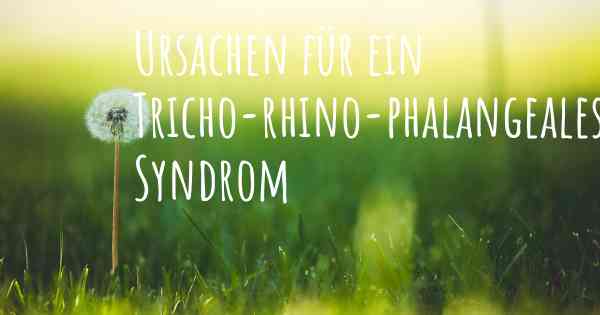 Ursachen für ein Tricho-rhino-phalangeales Syndrom