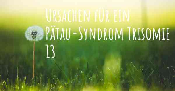 Ursachen für ein Pätau-Syndrom Trisomie 13