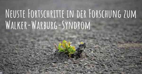 Neuste Fortschritte in der Forschung zum Walker-Warburg-Syndrom