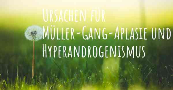 Ursachen für Müller-Gang-Aplasie und Hyperandrogenismus