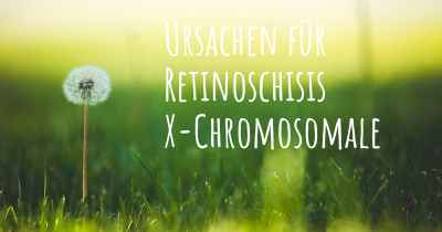 Ursachen für Retinoschisis X-Chromosomale