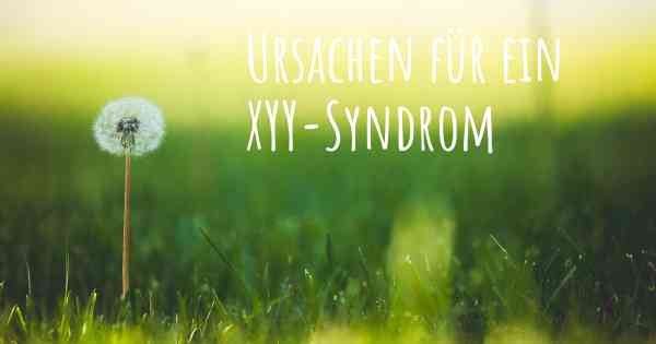 Ursachen für ein XYY-Syndrom