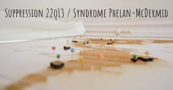 Suppression 22q13 / Syndrome Phelan-McDermid