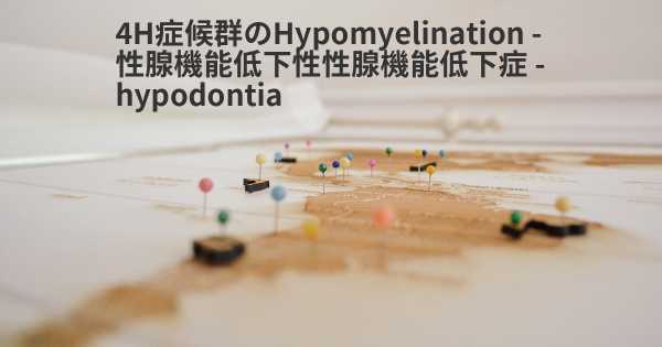 4H症候群のHypomyelination - 性腺機能低下性性腺機能低下症 - hypodontia