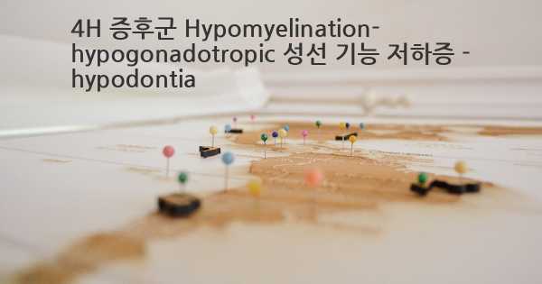 4H 증후군 Hypomyelination- hypogonadotropic 성선 기능 저하증 - hypodontia