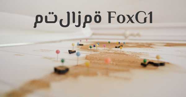 متلازمة FoxG1