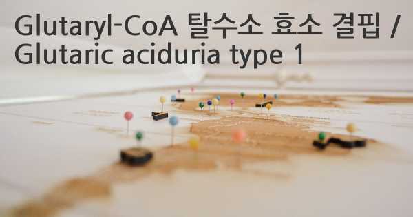 Glutaryl-CoA 탈수소 효소 결핍 / Glutaric aciduria type 1