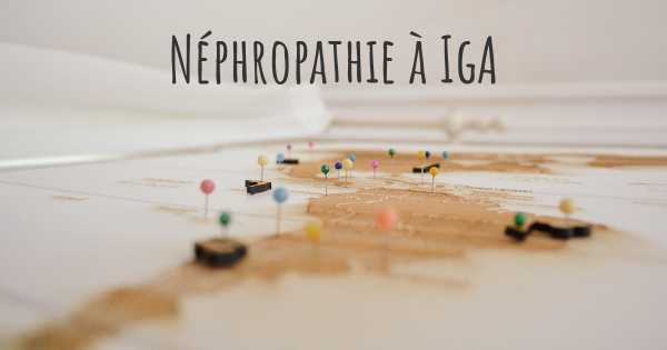 Néphropathie à IgA
