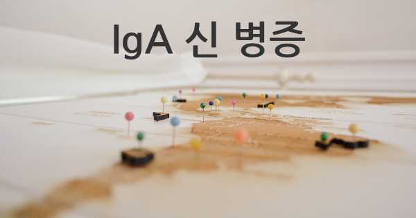 IgA 신 병증