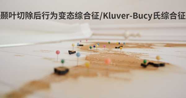 颞叶切除后行为变态综合征/Kluver-Bucy氏综合征