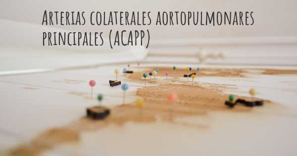 Arterias colaterales aortopulmonares principales (ACAPP)