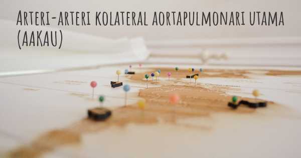 Arteri-arteri kolateral aortapulmonari utama (AAKAU)