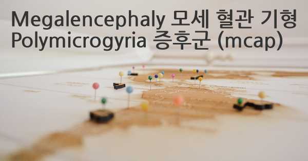 Megalencephaly 모세 혈관 기형 Polymicrogyria 증후군 (mcap)