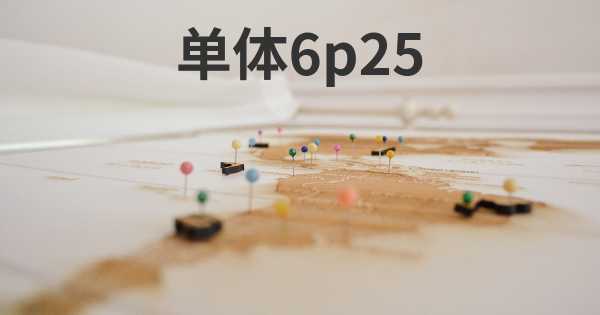 单体6p25