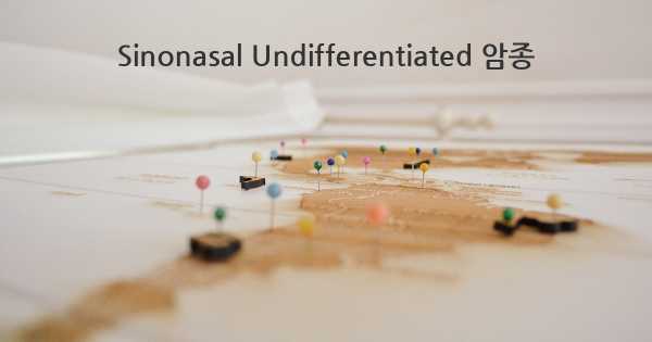 Sinonasal Undifferentiated 암종