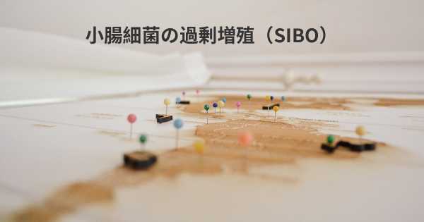 小腸細菌の過剰増殖（SIBO）