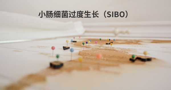 小肠细菌过度生长（SIBO）