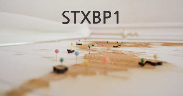 STXBP1