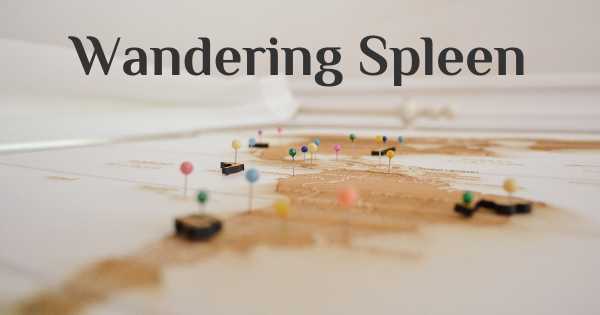 Wandering Spleen