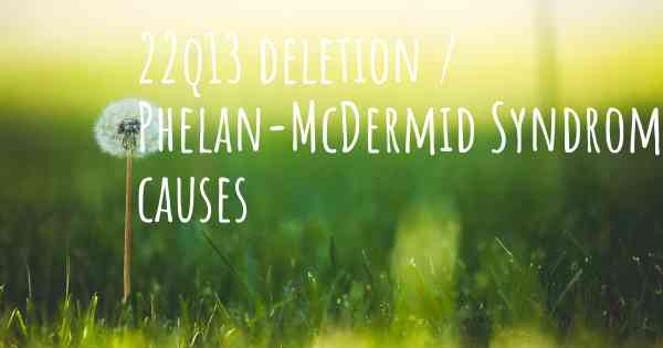 22q13 deletion / Phelan-McDermid Syndrome causes