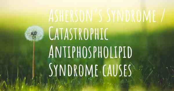 Asherson’s Syndrome / Catastrophic Antiphospholipid Syndrome causes