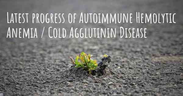 Latest progress of Autoimmune Hemolytic Anemia / Cold Agglutinin Disease