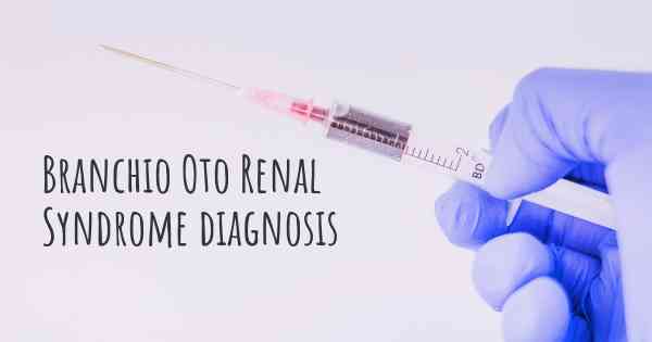 Branchio Oto Renal Syndrome diagnosis