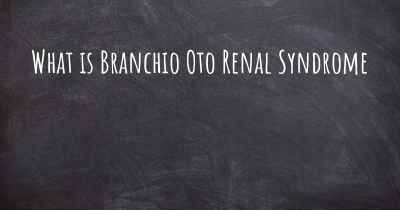 What is Branchio Oto Renal Syndrome