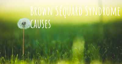 Brown Séquard Syndrome causes