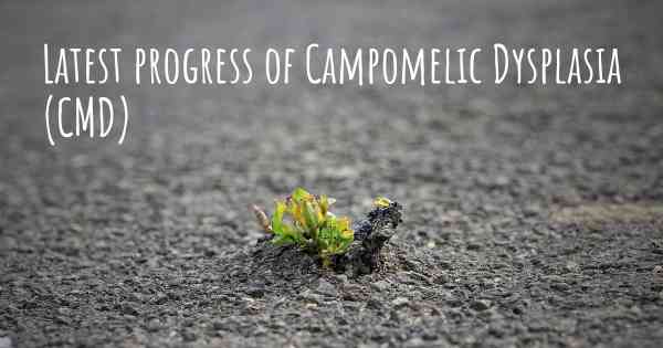 Latest progress of Campomelic Dysplasia (CMD)