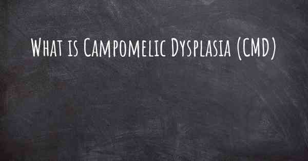 What is Campomelic Dysplasia (CMD)