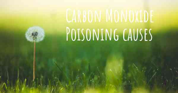 Carbon Monoxide Poisoning causes