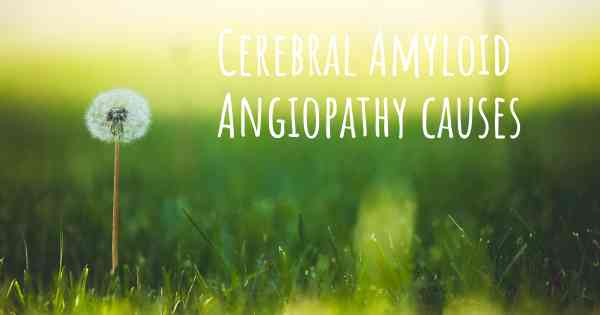 Cerebral Amyloid Angiopathy causes