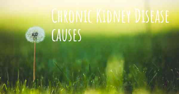 Chronic Kidney Disease causes