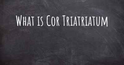 What is Cor Triatriatum