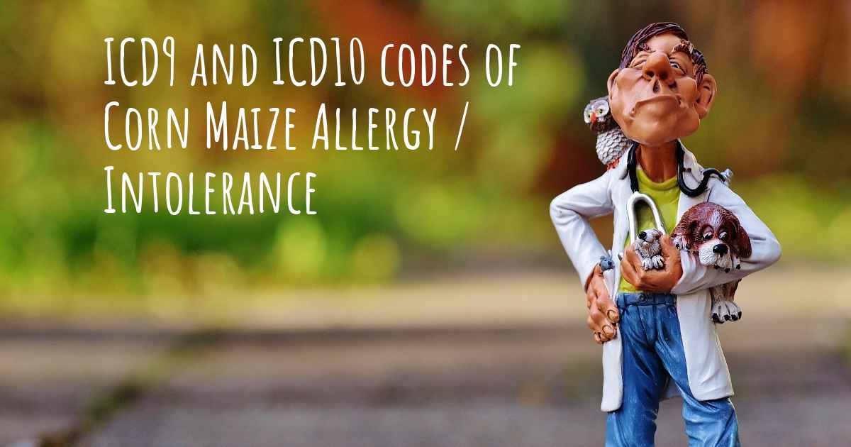 ICD10 code of Corn Maize Allergy / Intolerance and ICD9 code
