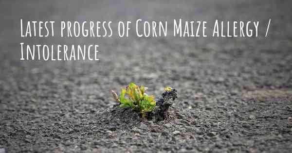 Latest progress of Corn Maize Allergy / Intolerance