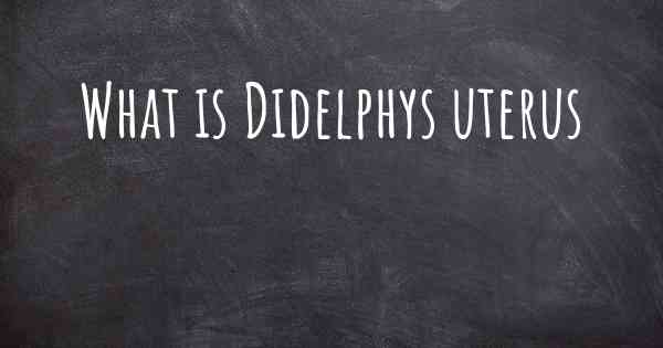 What is Didelphys uterus