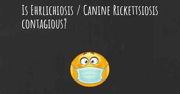 Is Ehrlichiosis / Canine Rickettsiosis contagious?