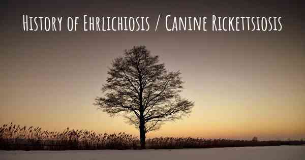 History of Ehrlichiosis / Canine Rickettsiosis