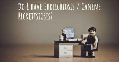 Do I have Ehrlichiosis / Canine Rickettsiosis?