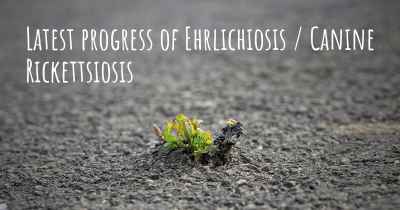 Latest progress of Ehrlichiosis / Canine Rickettsiosis