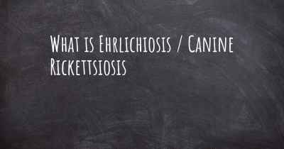 What is Ehrlichiosis / Canine Rickettsiosis