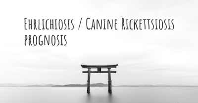 Ehrlichiosis / Canine Rickettsiosis prognosis