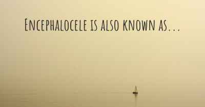 Encephalocele is also known as...