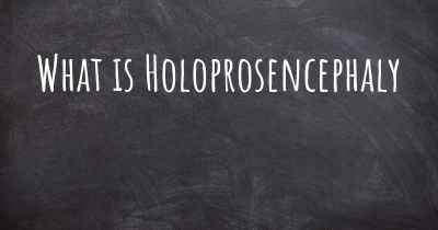 What is Holoprosencephaly