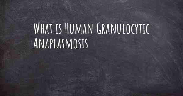 What is Human Granulocytic Anaplasmosis