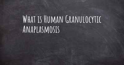 What is Human Granulocytic Anaplasmosis